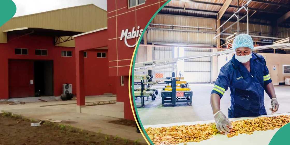 MABISCO biscuit MABISCO biscuit