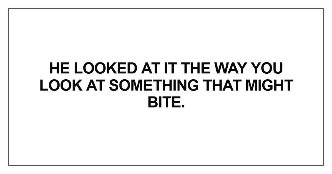 He looked at it the way you look at something that might bite He looked at it the way you look at something that might bite