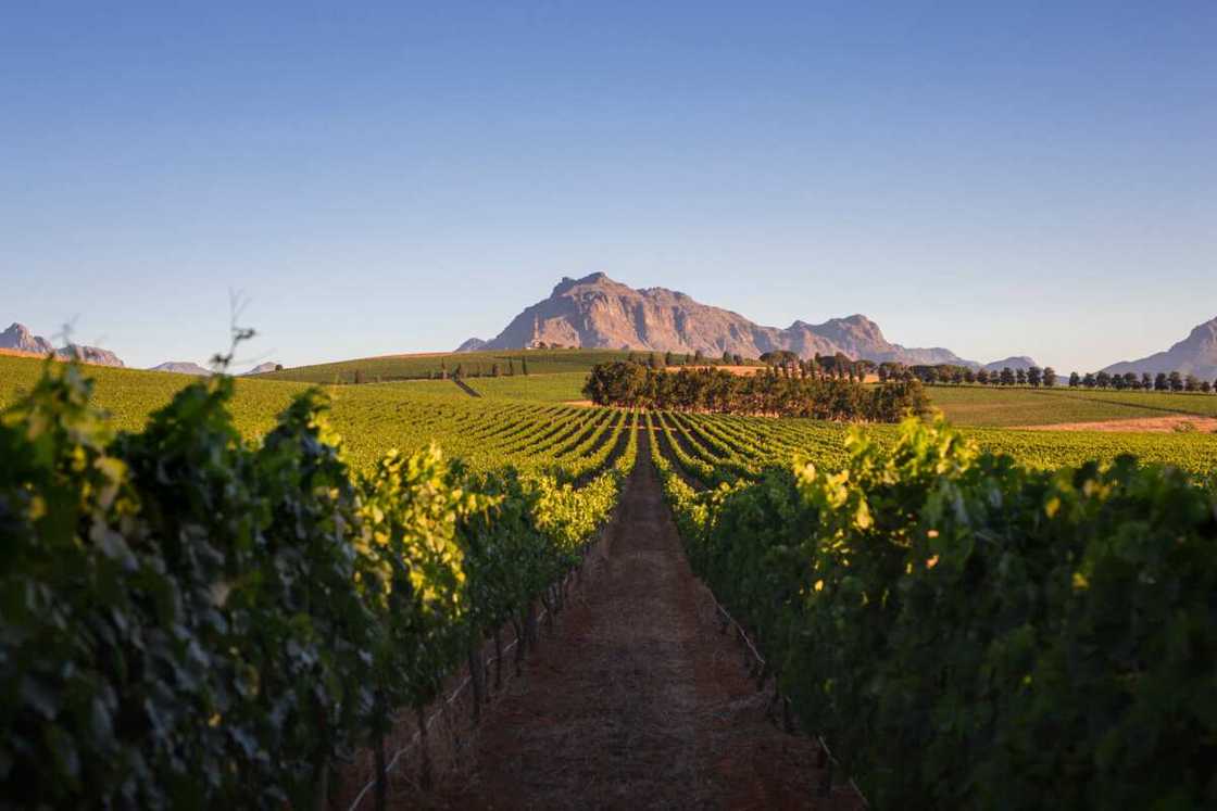 Which is the most beautiful country in Africa? Which is the most beautiful country in Africa?