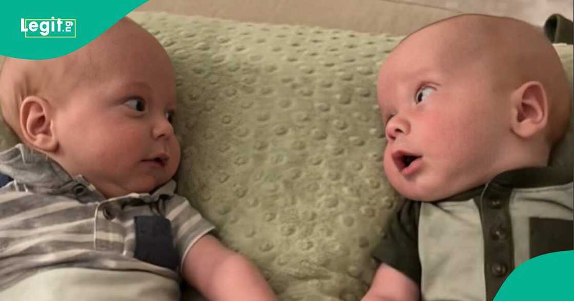 Twins shared heartwarming moment as they discovered each other