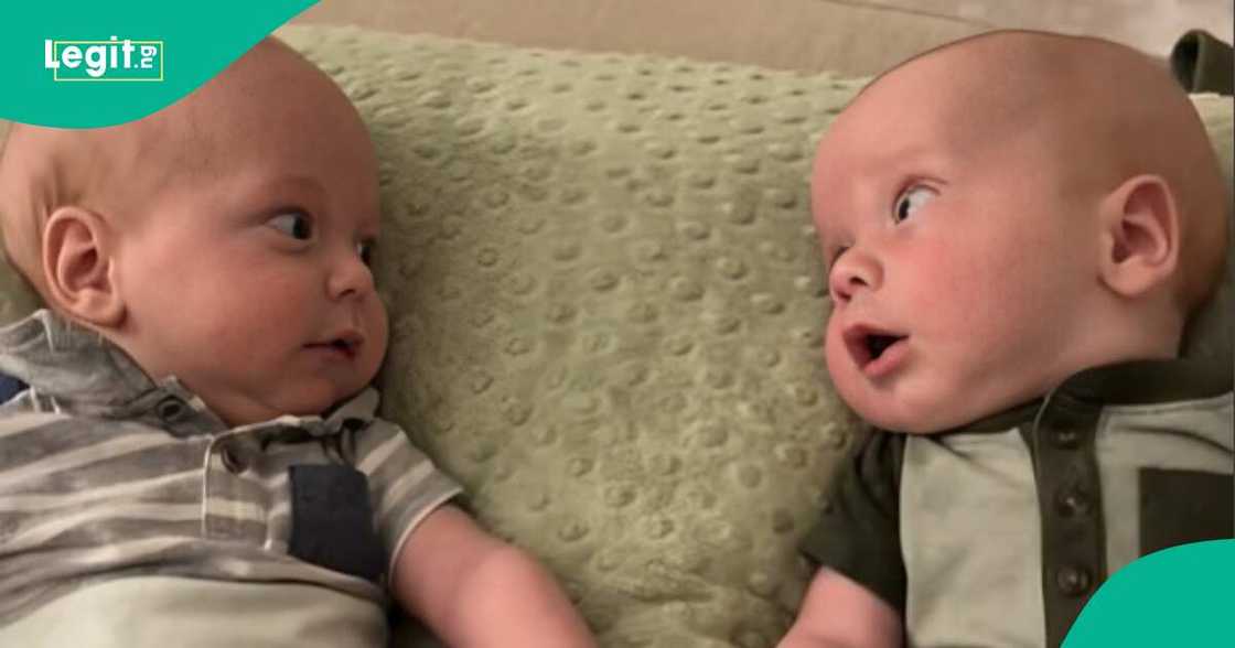 Twins shared heartwarming moment as they discovered each other Twins shared heartwarming moment as they discovered each other