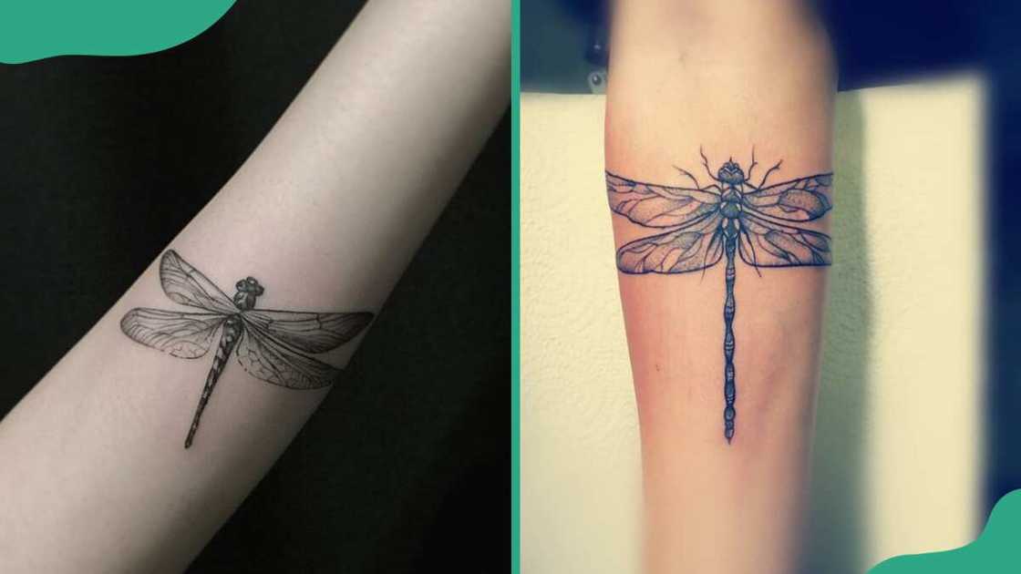 Black and grey dragonfly tattoos Black and grey dragonfly tattoos
