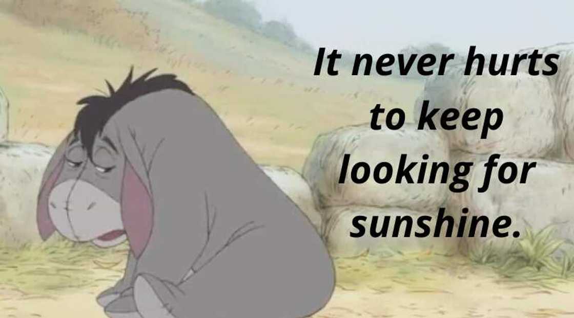 eeyore quote