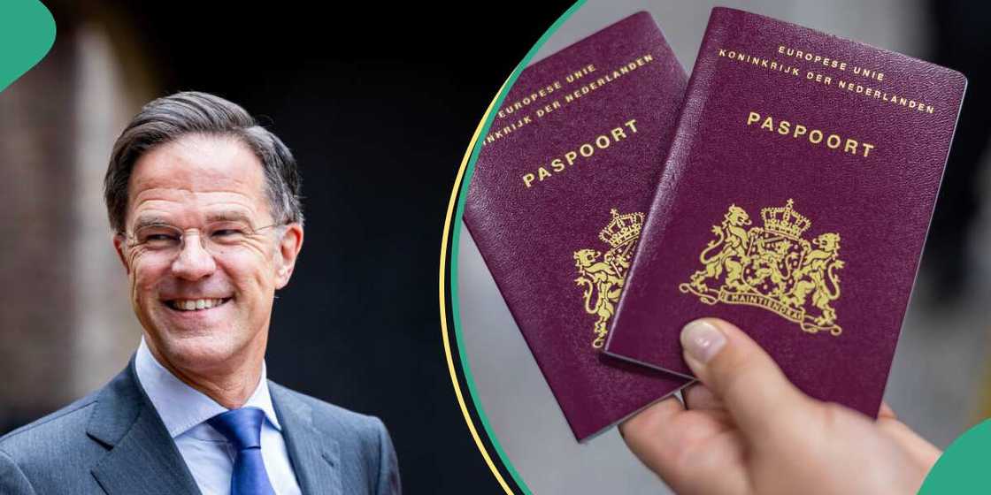 Dutch, Golden Visa Dutch, Golden Visa