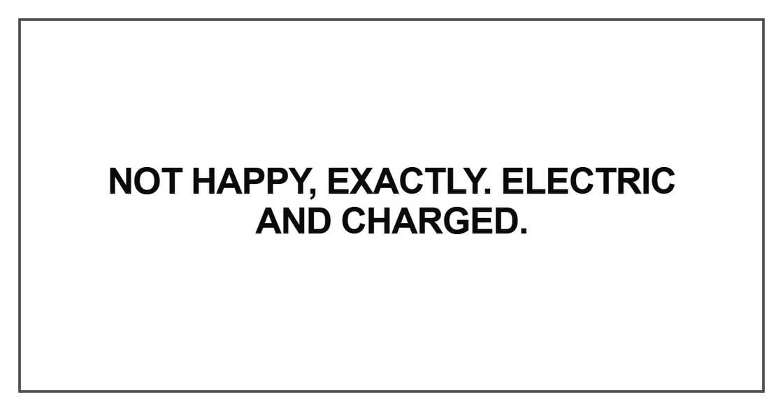 Not happy, exactly. Not happy, exactly.