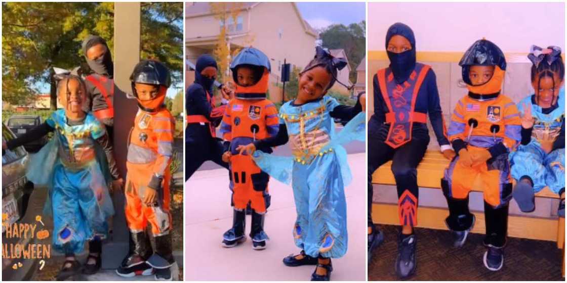 Rude Boy's children Rude Boy's children