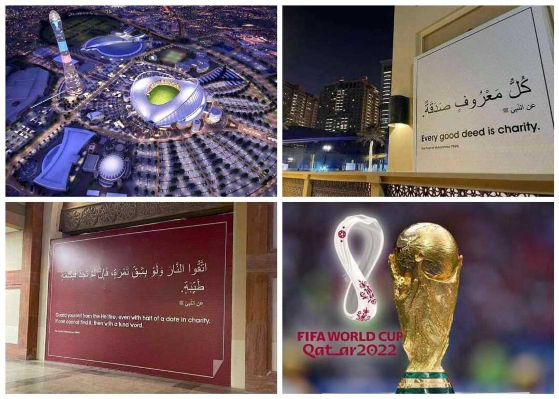 Gasar cin Kofin duniya. Gasar cin Kofin duniya.