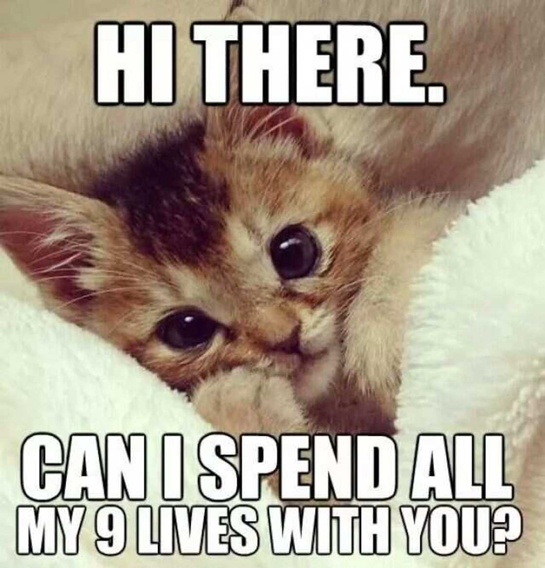 Flirty meme for her Flirty meme for her