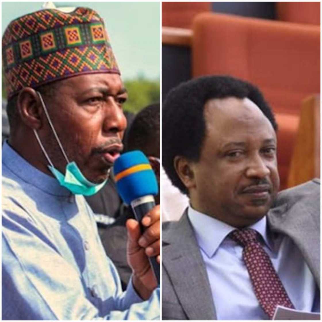 Ba haka bane Farfesa; Shehu Sani ya ci gyaran Zulum a kan sababin fara yakin Boko Haram Ba haka bane Farfesa; Shehu Sani ya ci gyaran Zulum a kan sababin fara yakin Boko Haram