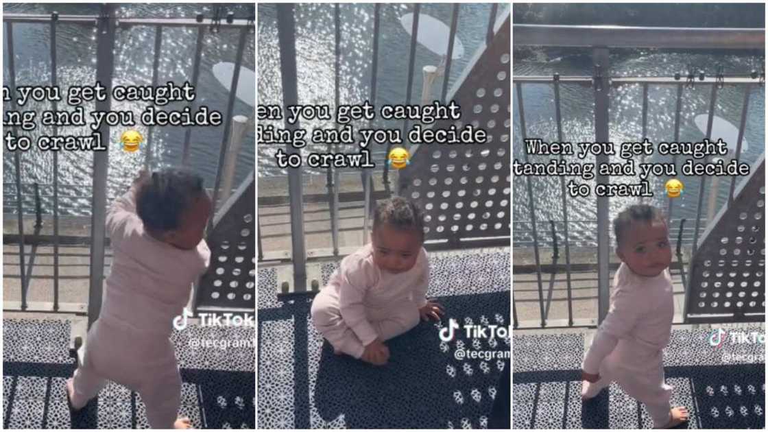 Baby caught walking and pretended she can't. Baby caught walking and pretended she can't.