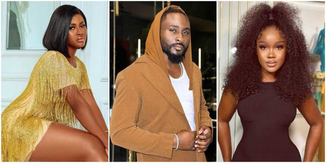 BBNaija All Stars Alex, BBNaija All Stars Pere, BBNaija All Stars CeeC