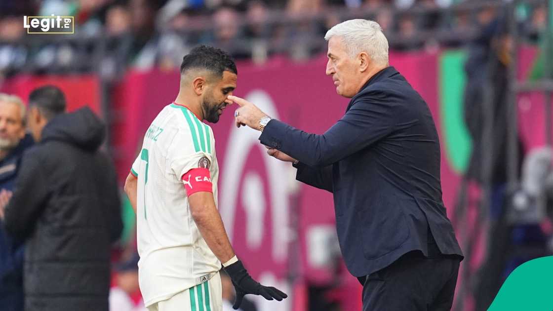 Vladimir Petkovic, Riyad Mahrez, Algeria, Morocco, AFCON 2025, Desert Foxes. Vladimir Petkovic, Riyad Mahrez, Algeria, Morocco, AFCON 2025, Desert Foxes.