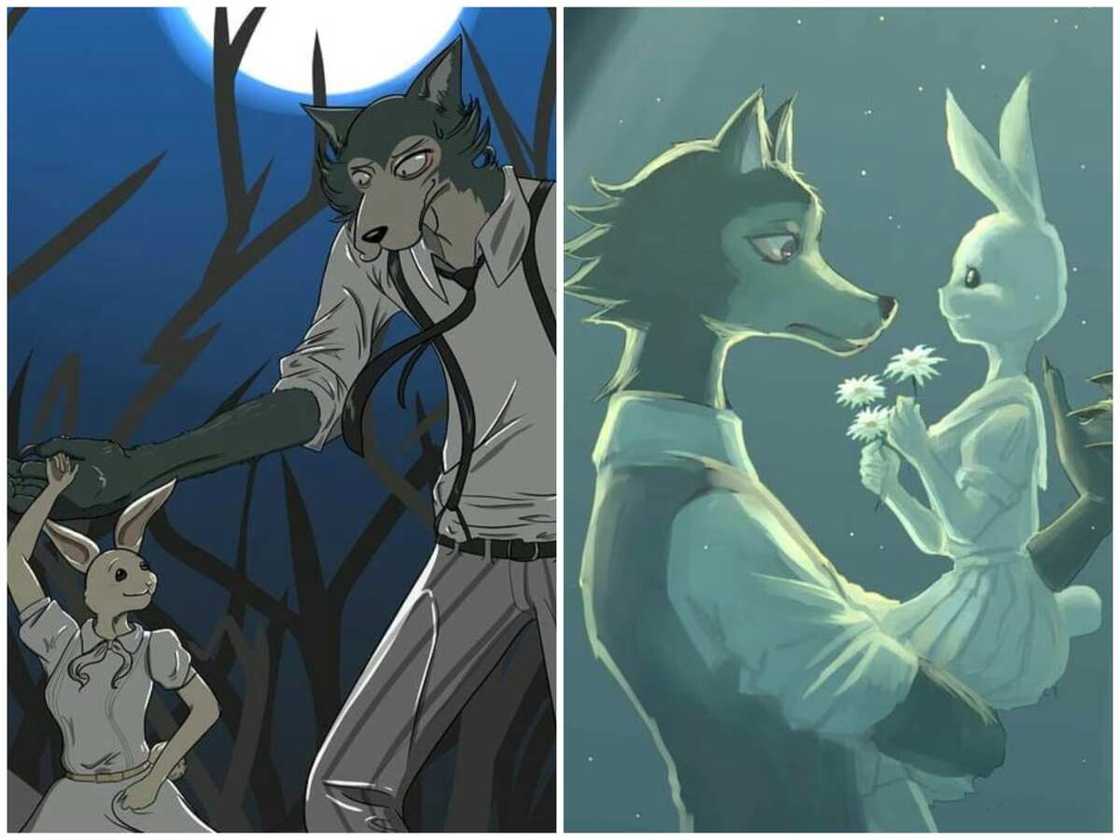 Legoshi et Haru de Beastars Legoshi et Haru de Beastars