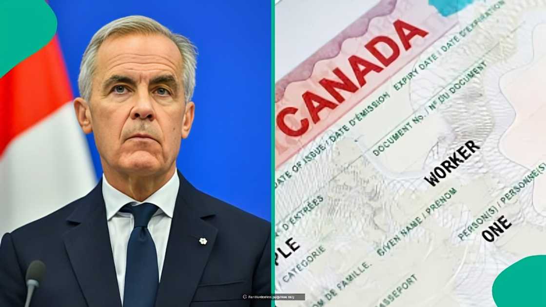 Canada lists 4 groups who can apply for PGWP without meeting field of study requirement Canada lists 4 groups who can apply for PGWP without meeting field of study requirement