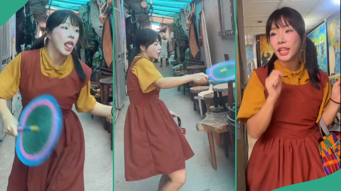 Lady dances to Fido's song. Lady dances to Fido's song.