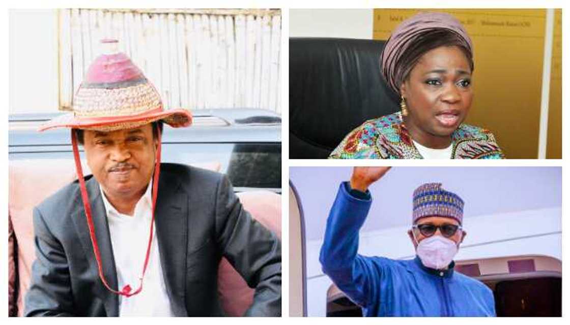 Revealed: Why I didn't Call Abike Dabiru-Erewa for Buhari's Safety in UK, Ex-senator Revealed: Why I didn't Call Abike Dabiru-Erewa for Buhari's Safety in UK, Ex-senator