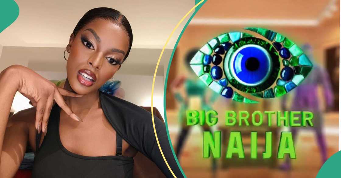 Heated exchange erupts as Chidimma Adetshina reacts to BBNaija criticism