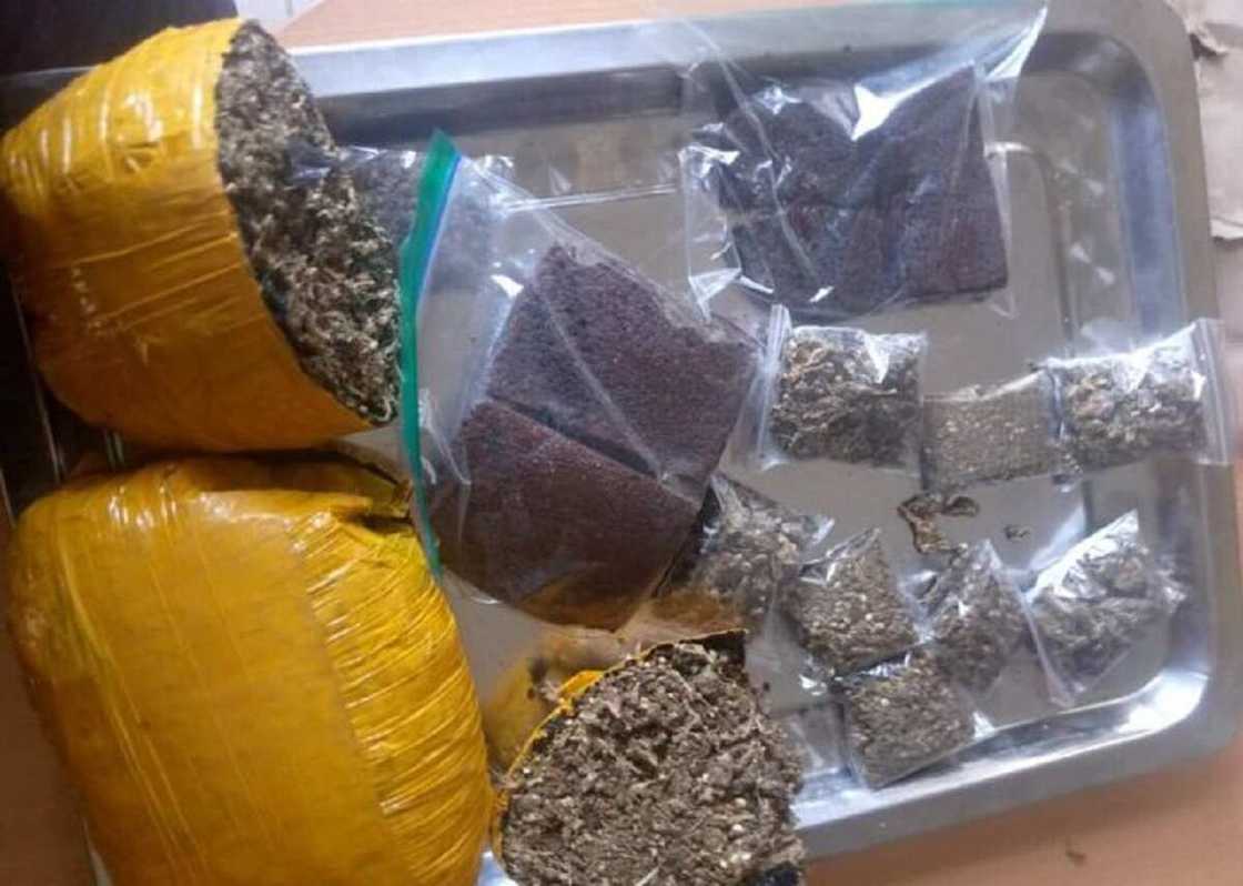 An Kama Budurwa Da Saurayi Da Ke Safarar Miyagun Ƙwayoyi Ta Intanet a Abuja An Kama Budurwa Da Saurayi Da Ke Safarar Miyagun Ƙwayoyi Ta Intanet a Abuja