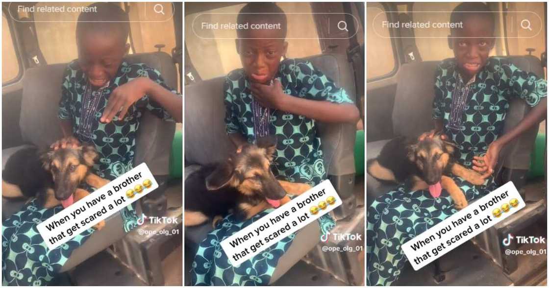 Nigerian boy, dog, fear, elder brother, lap Nigerian boy, dog, fear, elder brother, lap