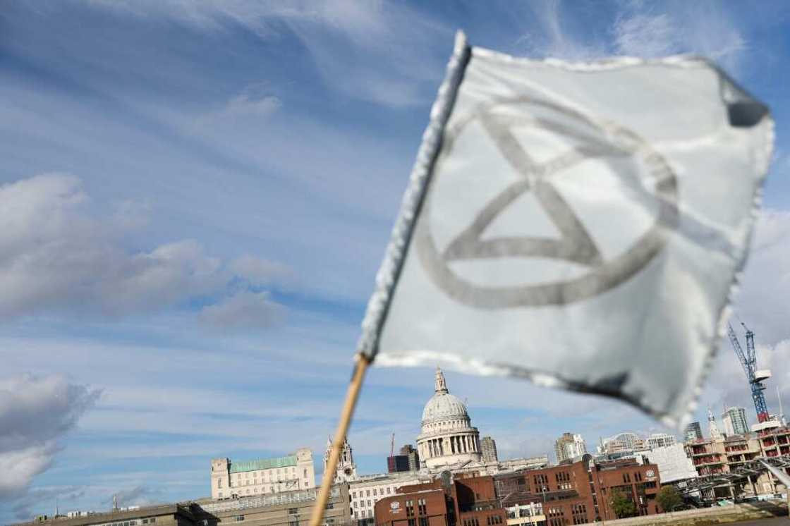 'We need the people who perhaps aren't comfortable getting arrested,' an XR spokeswoman said 'We need the people who perhaps aren't comfortable getting arrested,' an XR spokeswoman said