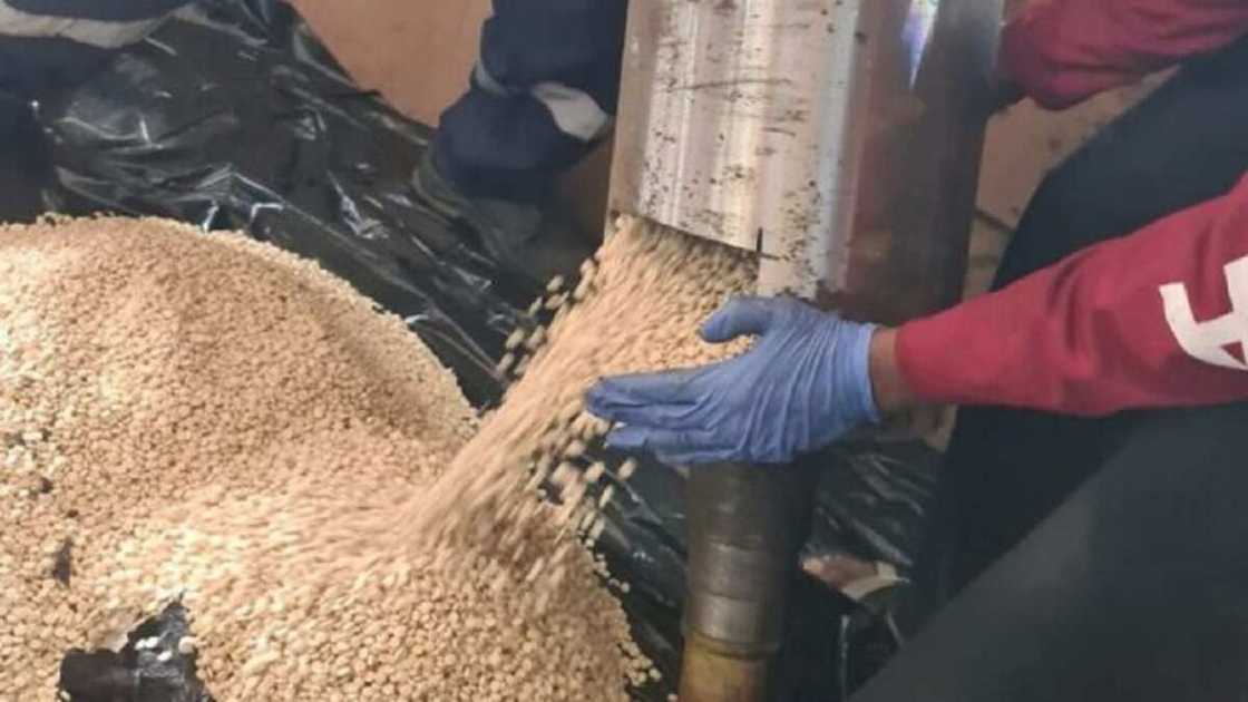 Marwa: NDLEA ta kwace magunguna karin karfin maza na N6bn masu alaka da ISIS Marwa: NDLEA ta kwace magunguna karin karfin maza na N6bn masu alaka da ISIS