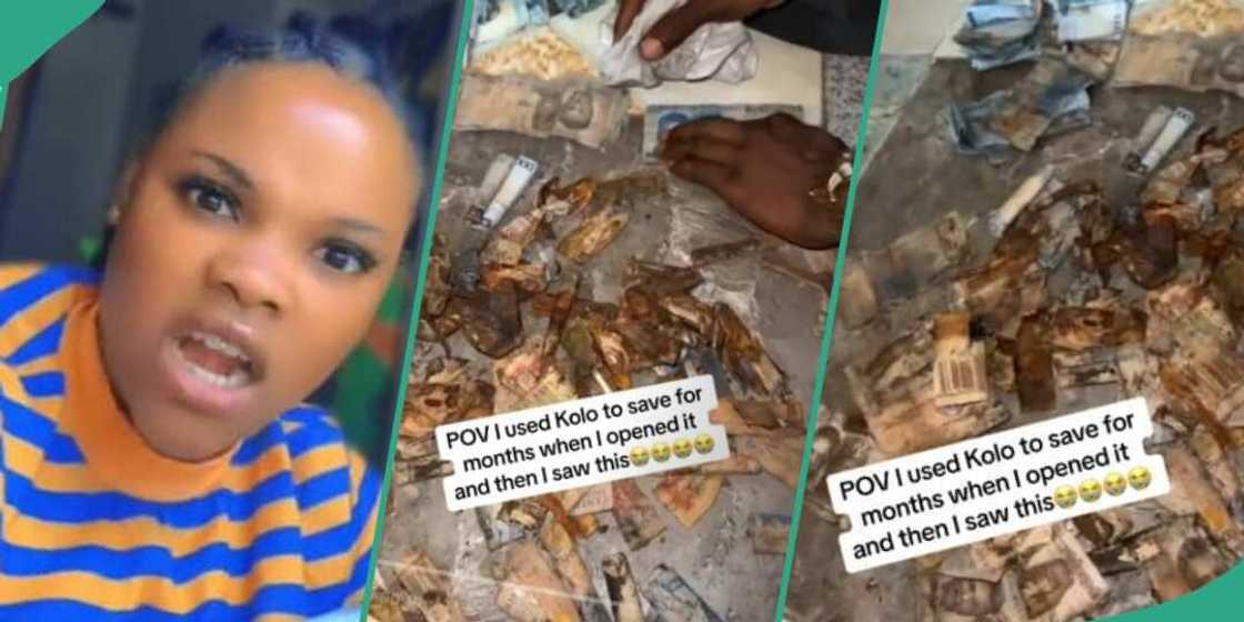 Nigerian lady in tears as money rots inside saving box Nigerian lady in tears as money rots inside saving box