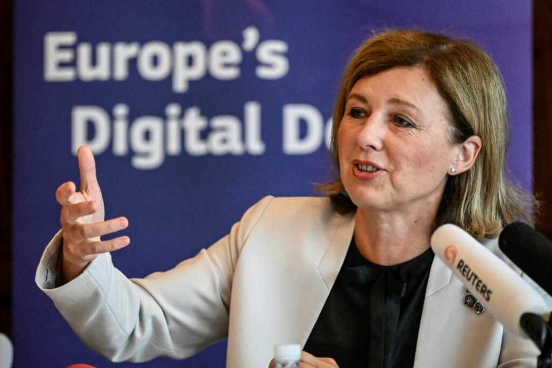 Vera Jerouva criticised the 'lengthy procedures' foreign firms must undergo to conduct business in the country Vera Jerouva criticised the 'lengthy procedures' foreign firms must undergo to conduct business in the country