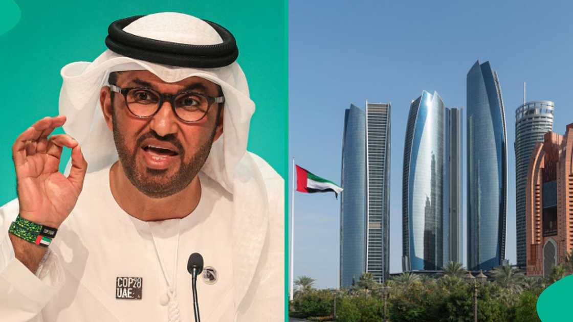 UAE reveals income requirement foreigners must meet for remote-work residence permit