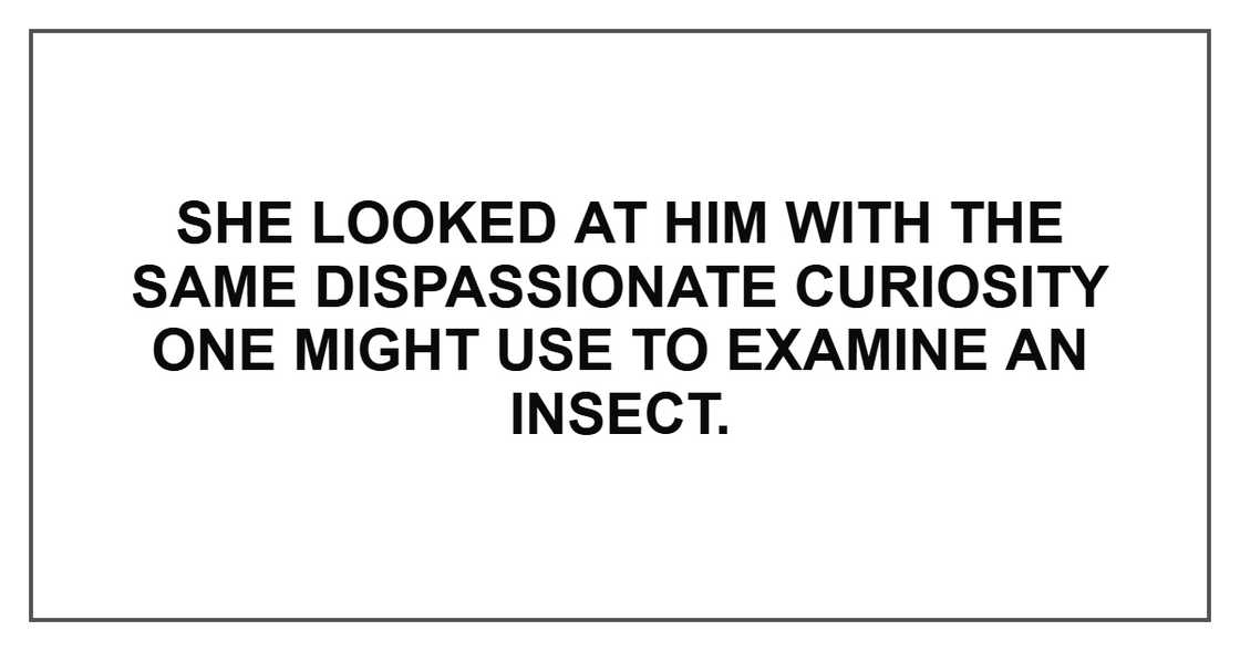 She looked at him with the same dispassionate curiosity one might use to examine an insect.