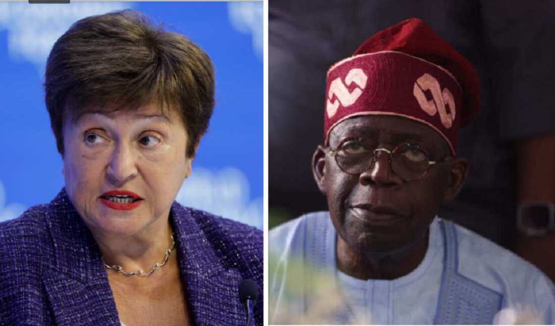 IMF, Nigeria IMF, Nigeria