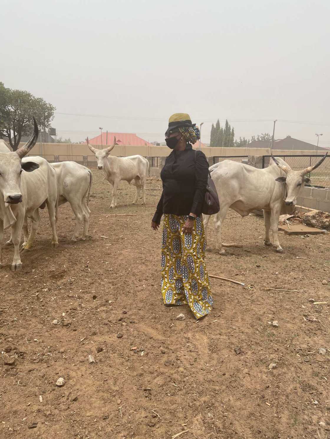 Uwar Gidan El-rufa'i taje duba gonarta, ta ce Mijinta bazai biya kuɗi ba idan aka sace ta Uwar Gidan El-rufa'i taje duba gonarta, ta ce Mijinta bazai biya kuɗi ba idan aka sace ta