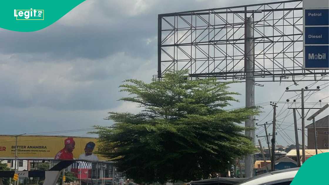 Charles Soludo, Anambra Election 2025, Anambra state, Peter Obi, Labour Party Charles Soludo, Anambra Election 2025, Anambra state, Peter Obi, Labour Party