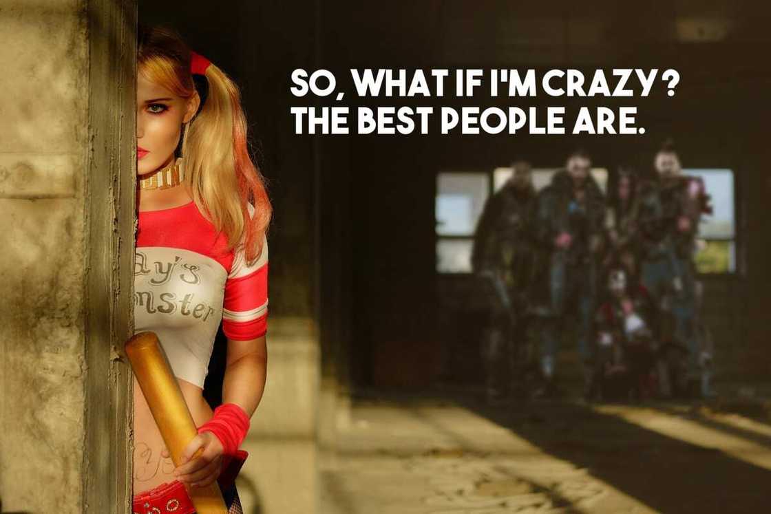 Harley Quinn catch phrases Harley Quinn catch phrases
