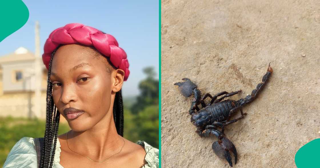 Nigerian lady narrowly escapes after scorpion fell from shower while she was having her bath