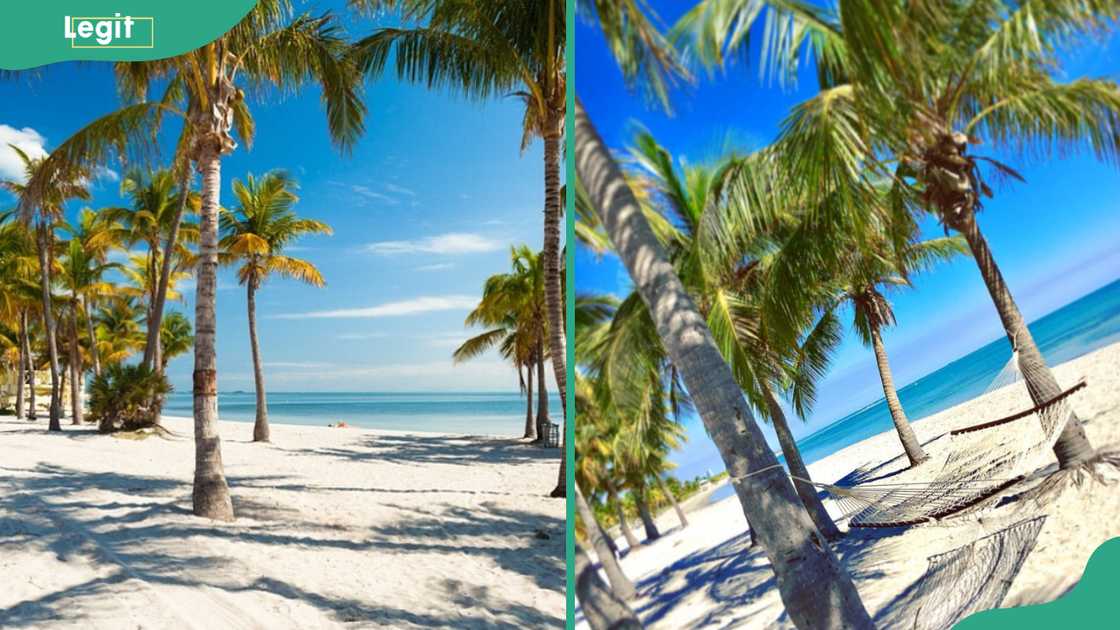 Crandon Park Beach