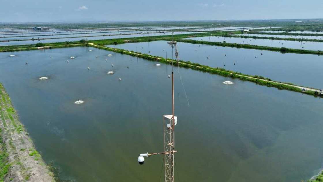 Ecuador is the world's largest shrimp producer, with revenue of $7.3 billion in 2022