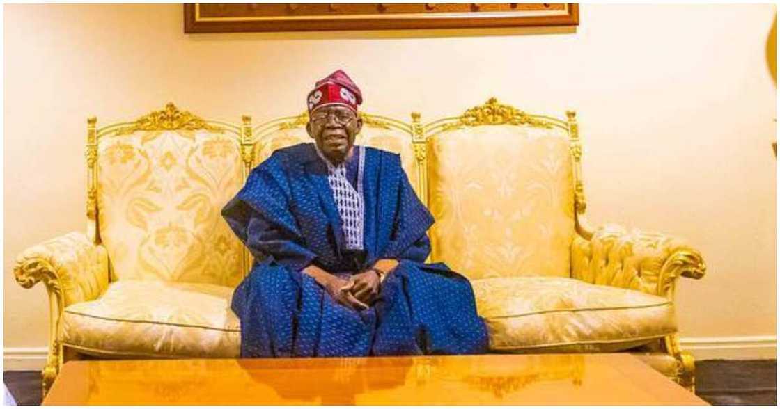 Bola Tinubu/tinubu news