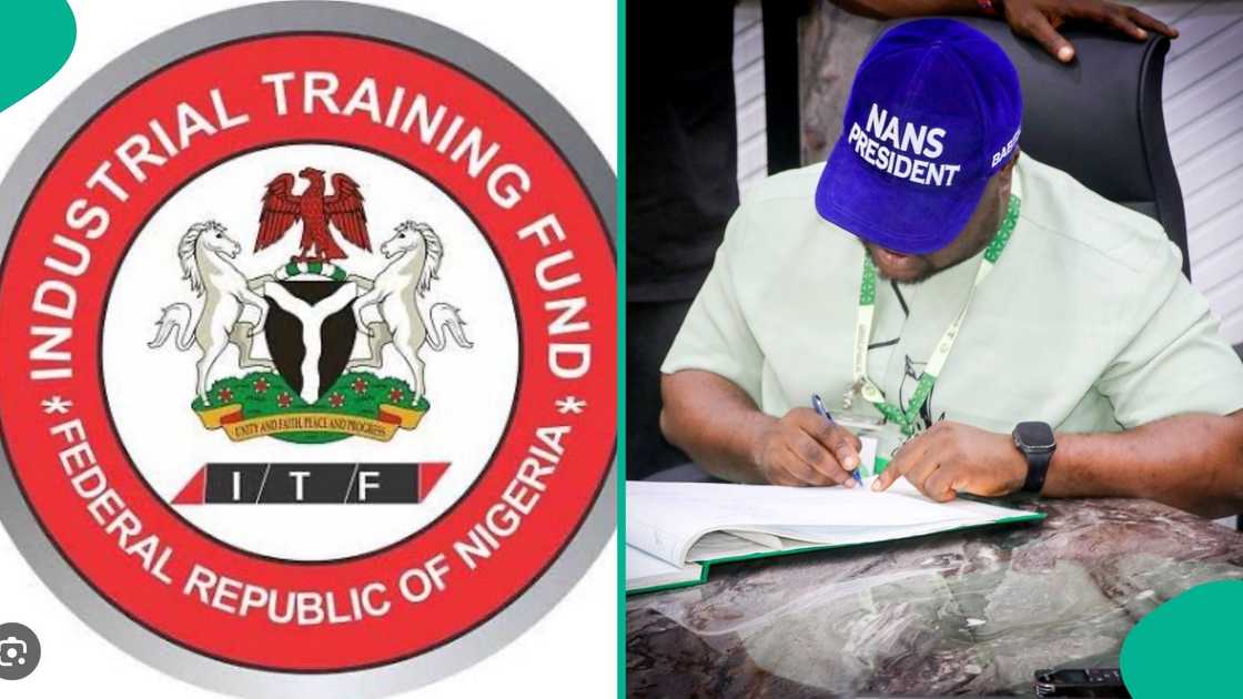 NANS has launched a new portal for students yet to receive their SIWES payments from ITF.