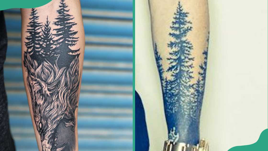 Pine trees tattoo