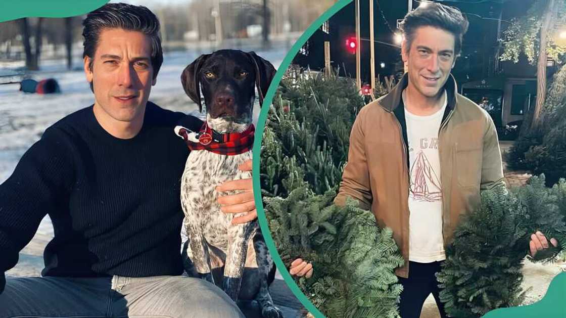 David Muir with his dog Axel and at a garden David Muir with his dog Axel and at a garden