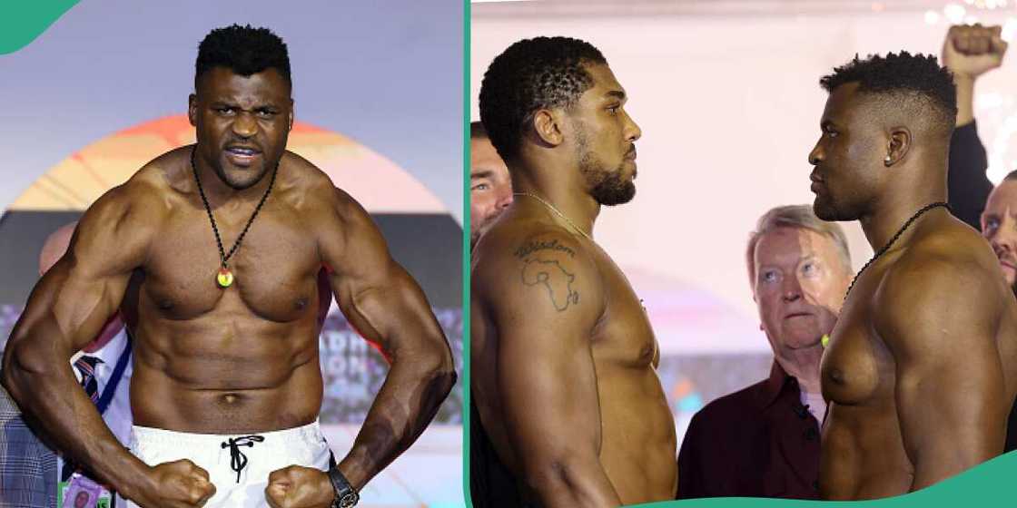 Anthony Joshua knocked out Francis Ngannou. Anthony Joshua knocked out Francis Ngannou.