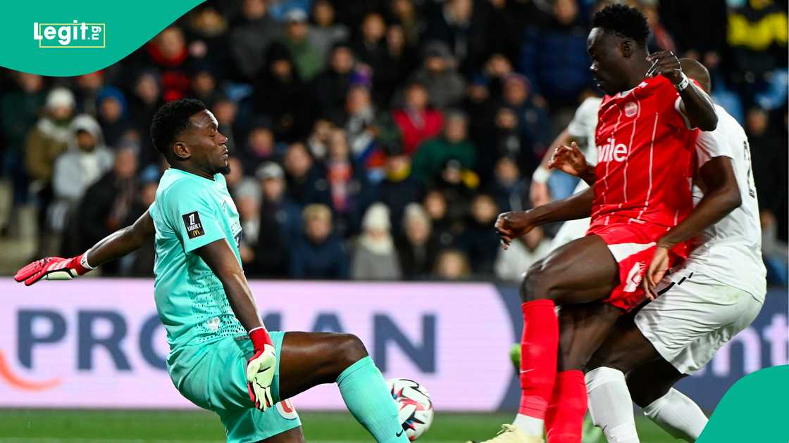 Akor Adams, Montpellier, France, Ligue 1. Akor Adams, Montpellier, France, Ligue 1.