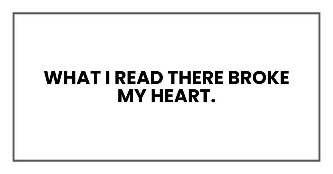 What I read there broke my heart.