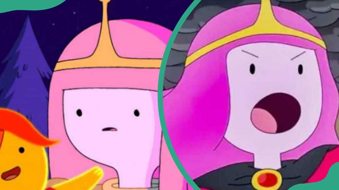 Princess Bubblegum