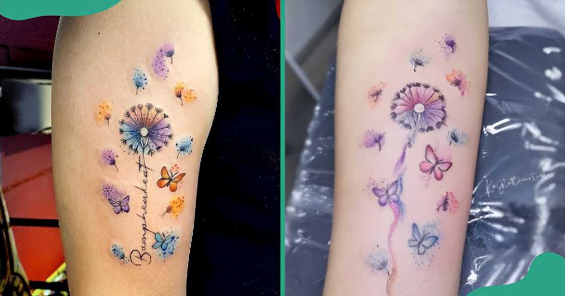 Colourful dandelion tattoos with butterflies on the upper arm (L) and the forearm (R). Colourful dandelion tattoos with butterflies on the upper arm (L) and the forearm (R).