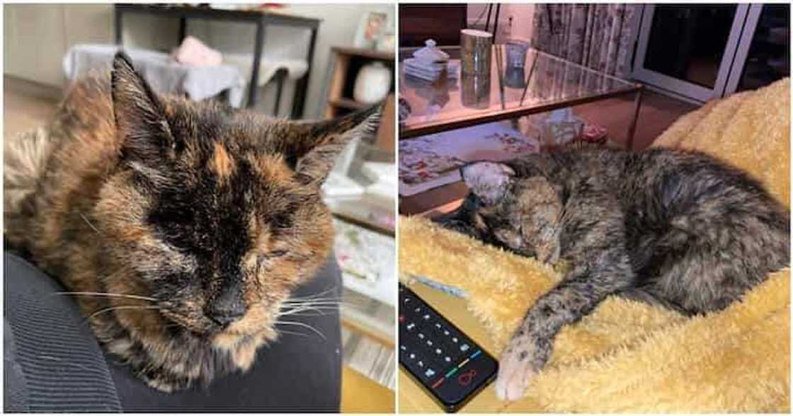 Mage mafi dadewa a duniya Mage mafi dadewa a duniya