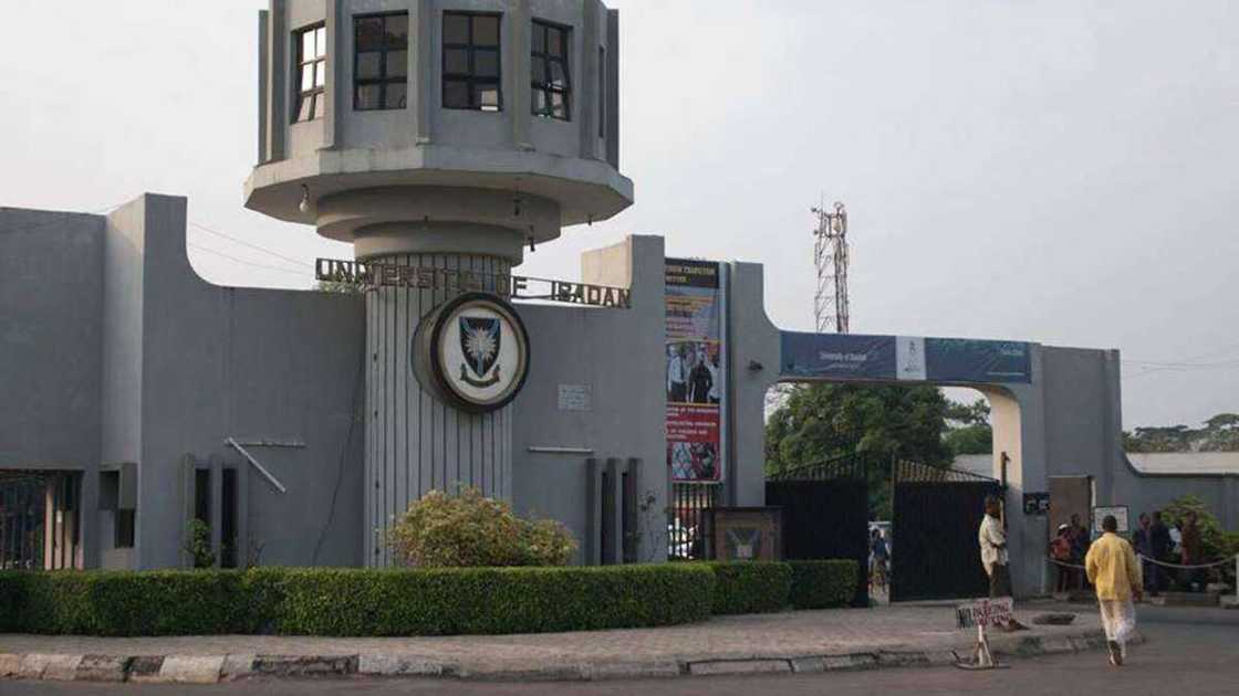 Breaking: University of Ibadan releases 2020/2021 post-UTME results Breaking: University of Ibadan releases 2020/2021 post-UTME results