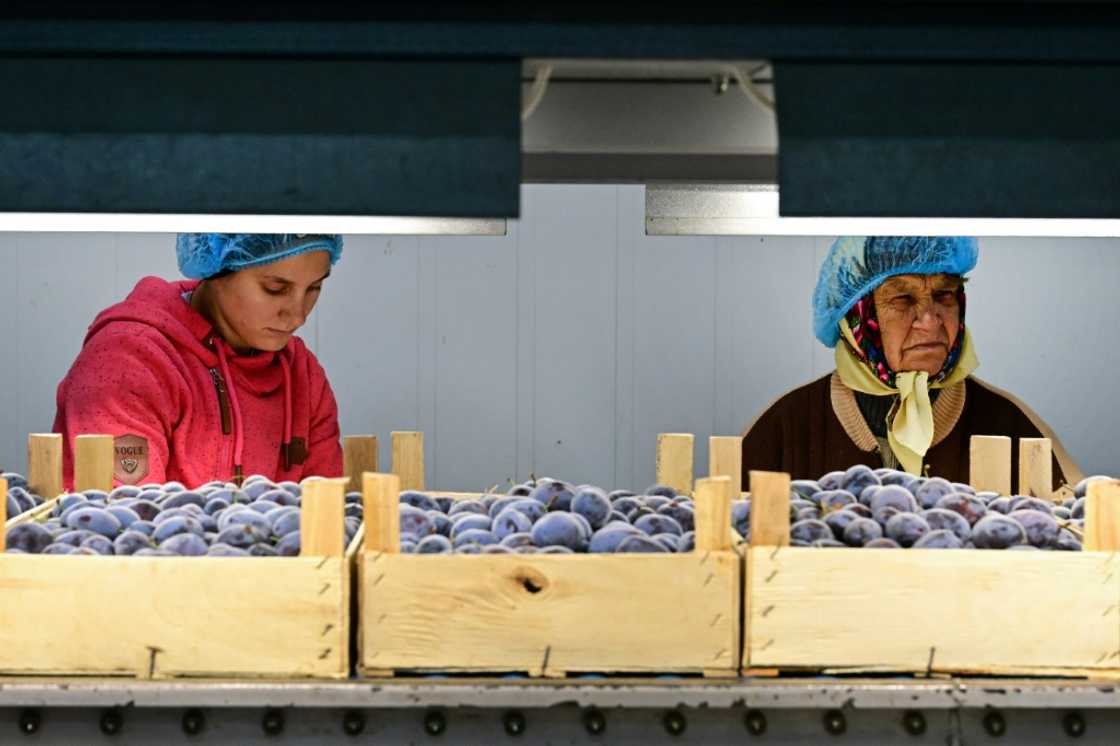 Almost two thirds of the Moldovan exports go to the EU, and the total value has doubled in the last ten years Almost two thirds of the Moldovan exports go to the EU, and the total value has doubled in the last ten years