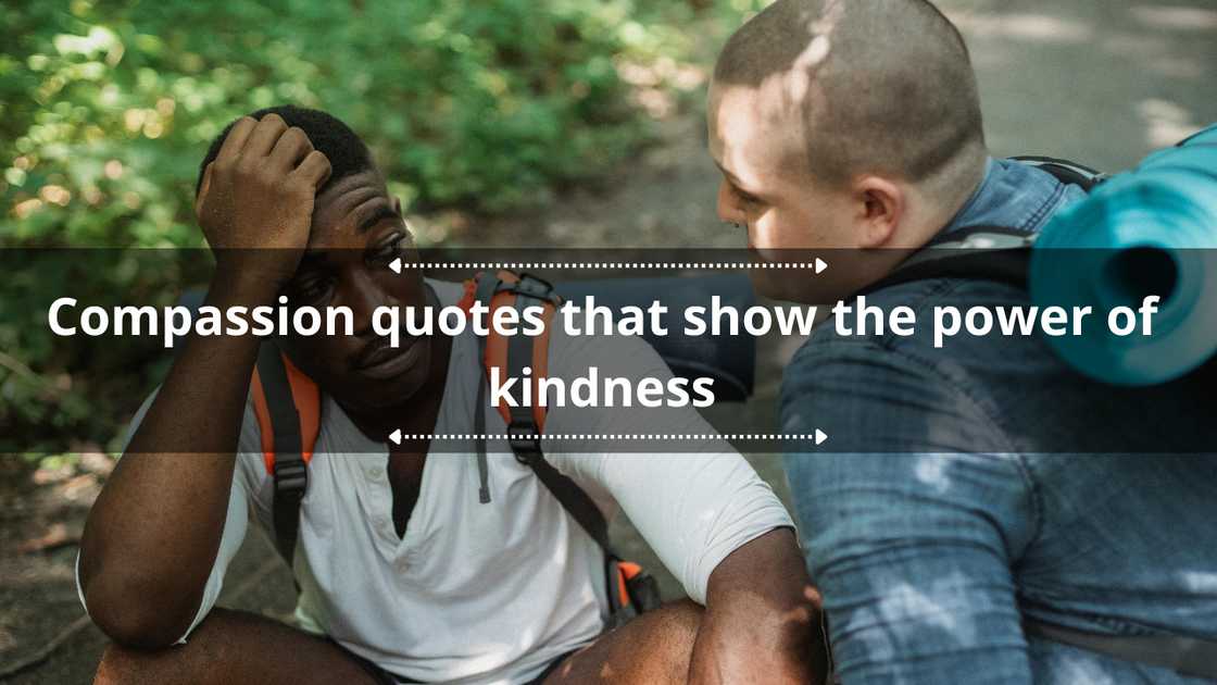 Compassion quotes