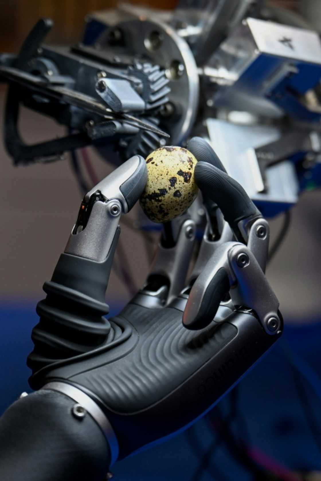 While most of the machines on display were still a little jerky, the increasing sophistication year-on-year was clear to see While most of the machines on display were still a little jerky, the increasing sophistication year-on-year was clear to see
